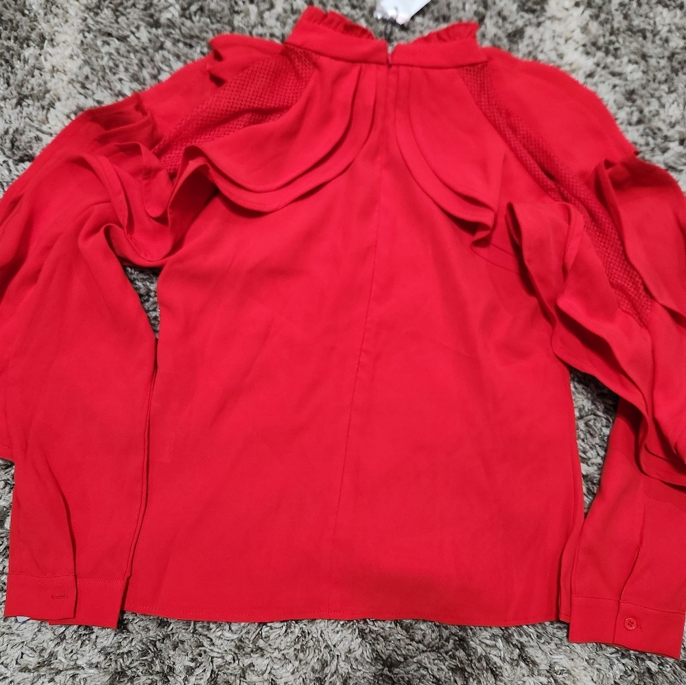 WHY DRESS -Ruffle MESH LONG SLEEVE Size L - Picture 4 of 7